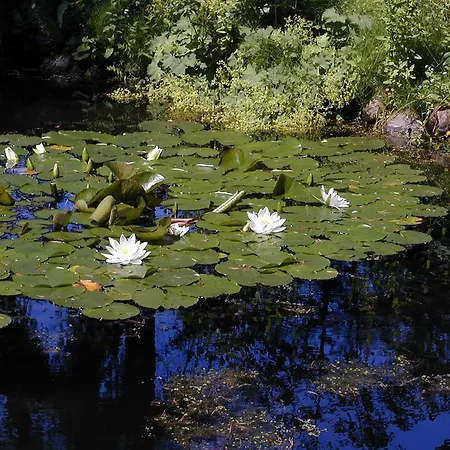 Waldblick شقة