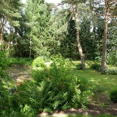 Waldblick