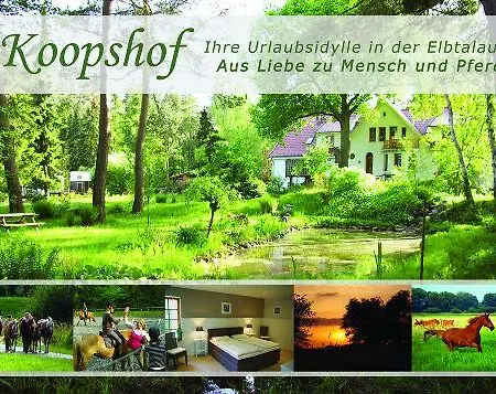 Waldblick * Bleckede